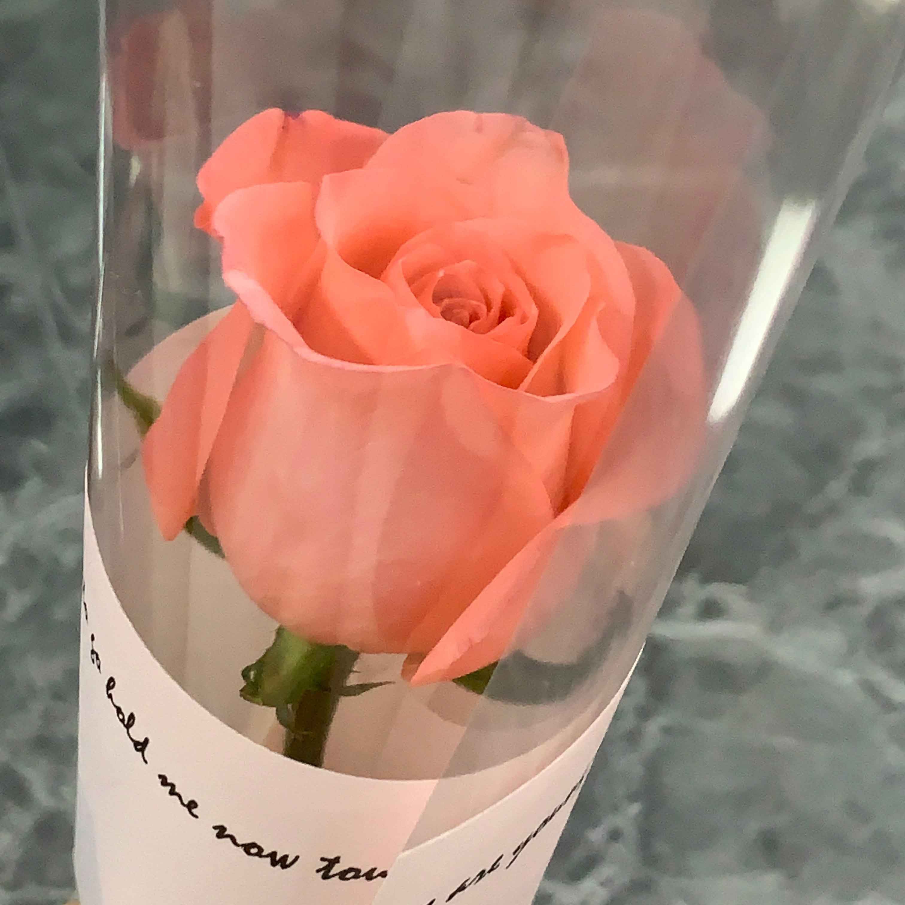 00d8869c1a7aa9def249af1b5611499