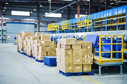 IWILL Kundalik ishlab chiqarish va yetkazib berish